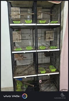 8 portion cage for sale