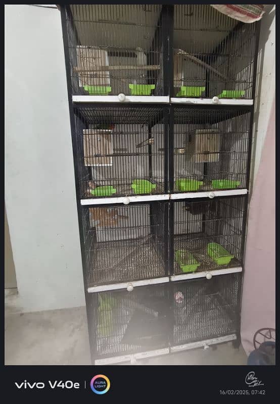 8 portion cage for sale 1