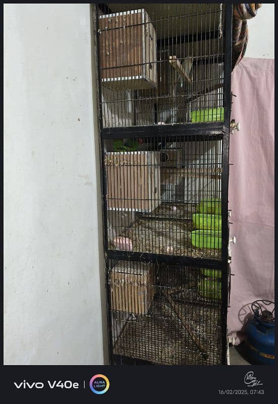 8 portion cage for sale 2