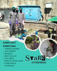 Pest Control/Termite Services/Dengue Control Spray/Fumigation Service