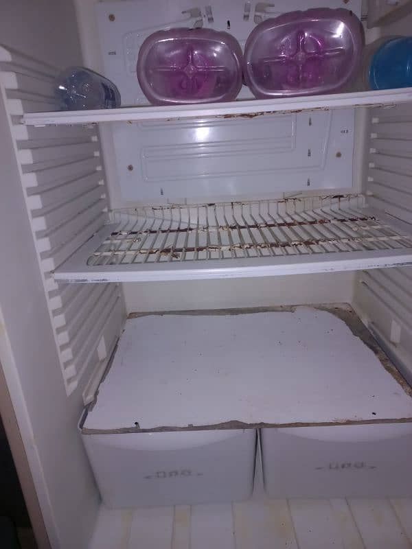 PEL Refrigerator Original Condition 10