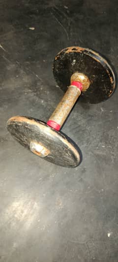 Pair of iron dumbles 20 kg