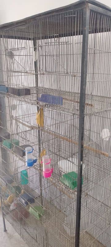 cage for sale read add 0