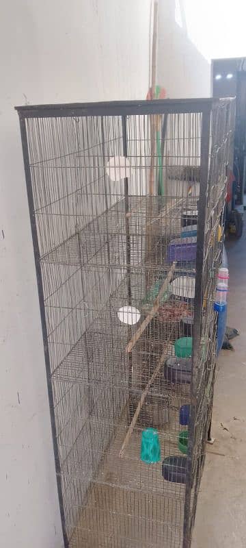 cage for sale read add 2