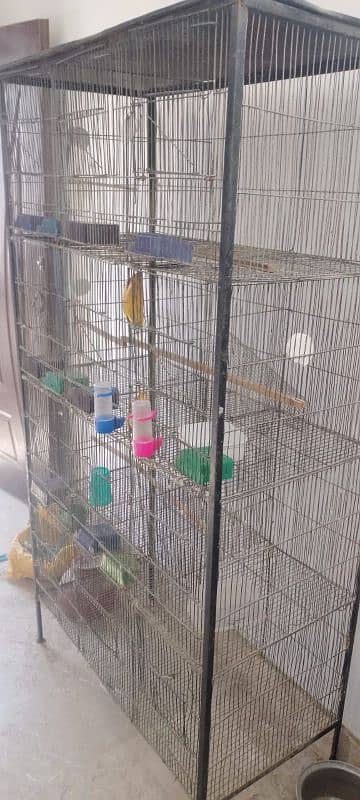 cage for sale read add 3