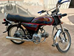 Honda CD 70 2024-25 Lush