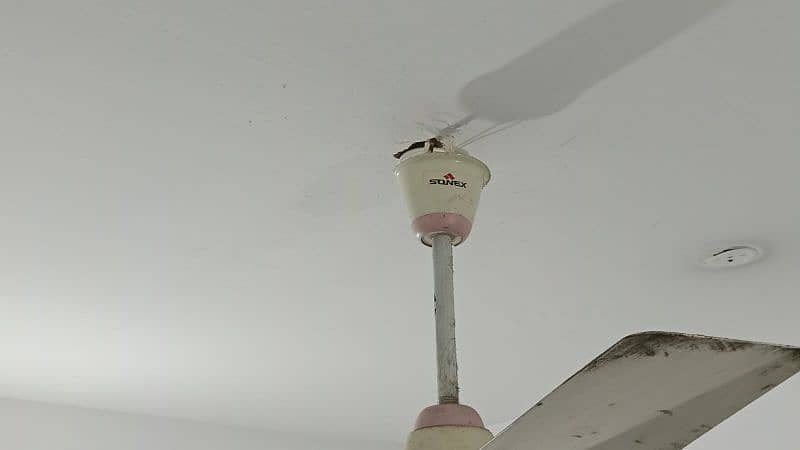 sonex ceiling fan new condition copper winding 0