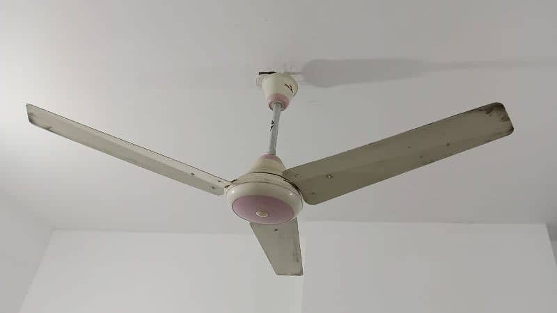 sonex ceiling fan new condition copper winding 3