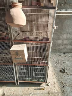 4 portion cage almost new condition in fair price