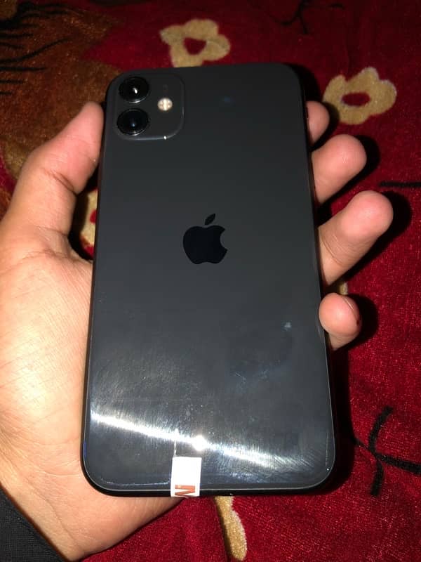 iPhone 11 0