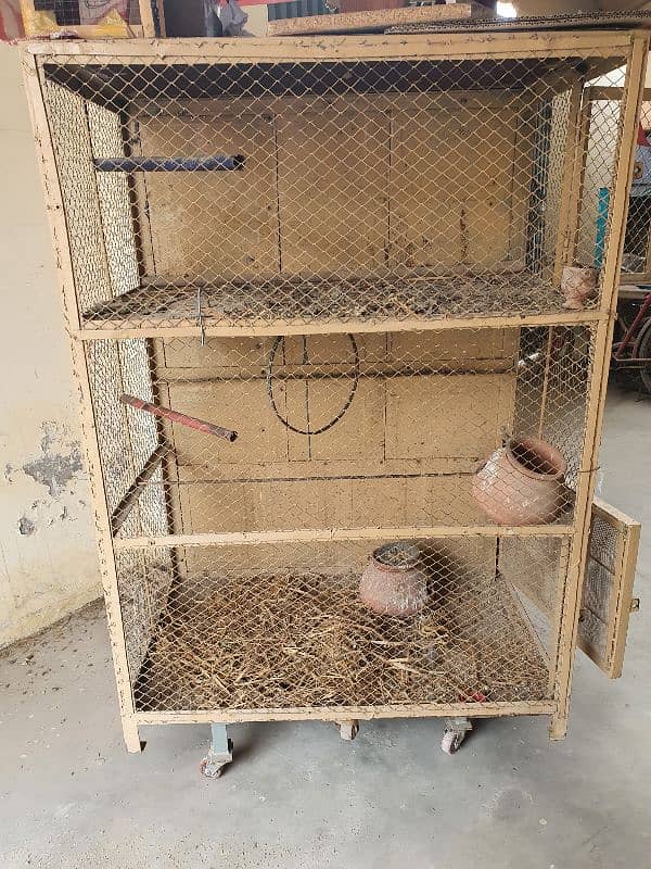 birds cage 1