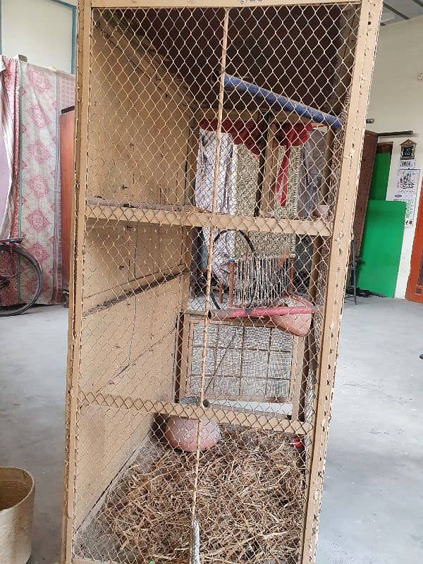 birds cage 6