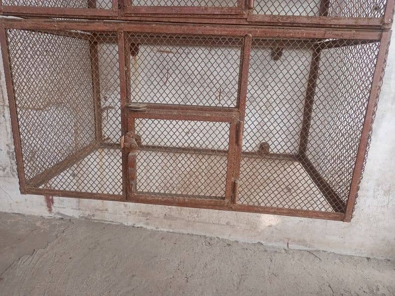 chicks cage 0