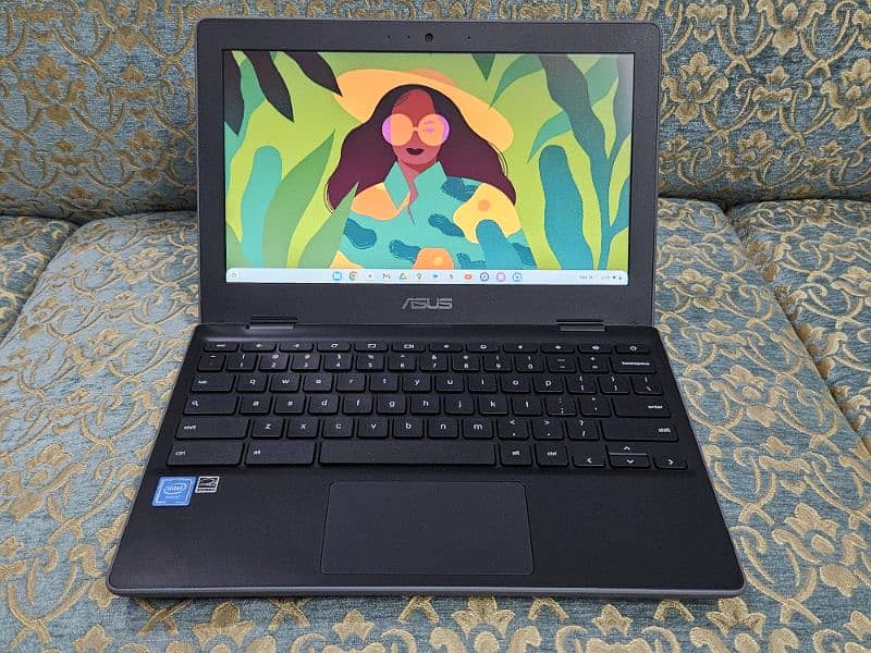 Asus Super Slim Chromebook 0