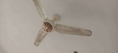 Used Fan in new condition for sale