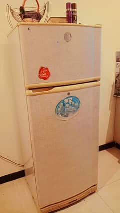 PEL full size refrigerator for sale . Price slightly negotiate