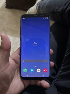 s8 plus pta prove