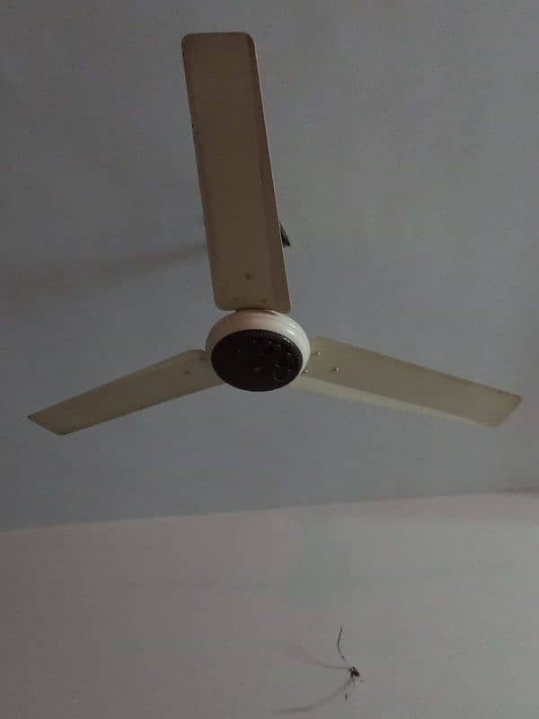 look like new plane celling fans 0