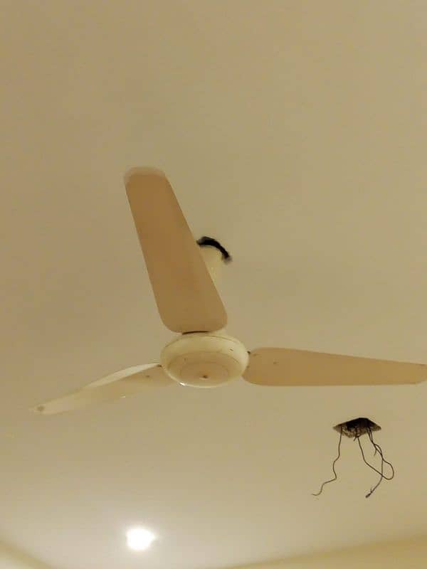 look like new plane celling fans 2