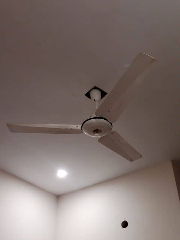 look like new plane celling fans 3