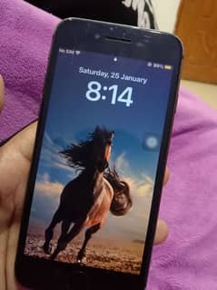 iphone 8(256) non pta