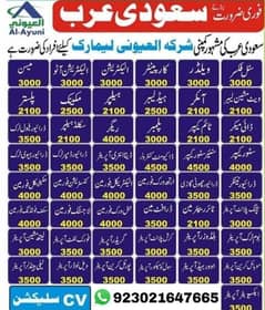 kota work visa program