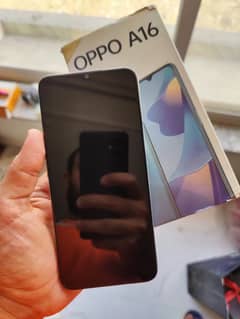 oppo A16