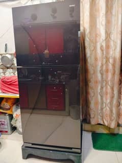 Orient jambo size fridge Glass door