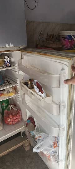 Fridge (Jumbo size)