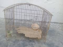 Birds Cage