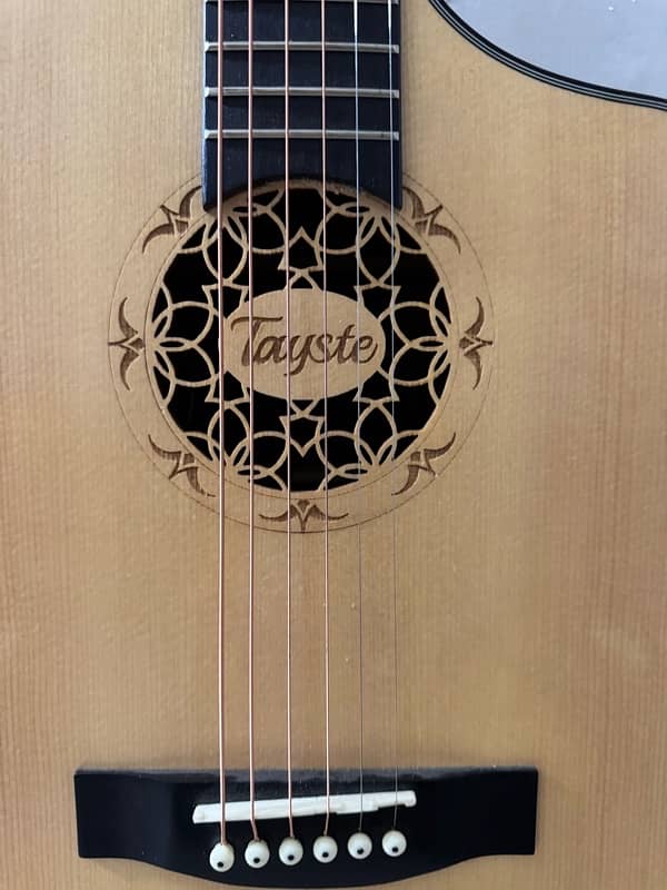 Tasyte TS-D12 2