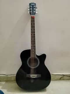 Semi-Acoustic Guitar