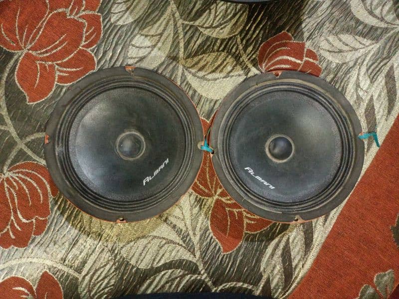 Woofer and speakers 8