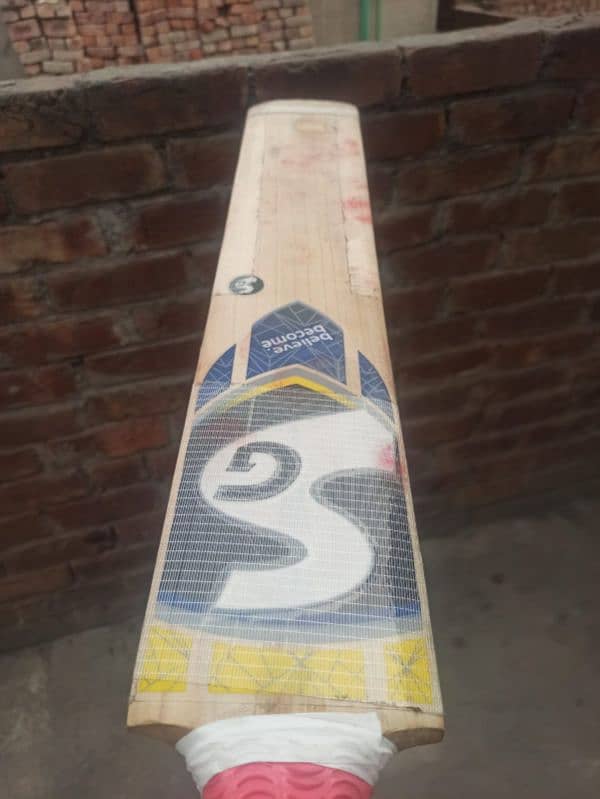 Hard Ball Bat SG 1