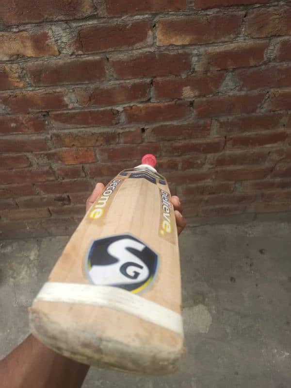 Hard Ball Bat SG 4