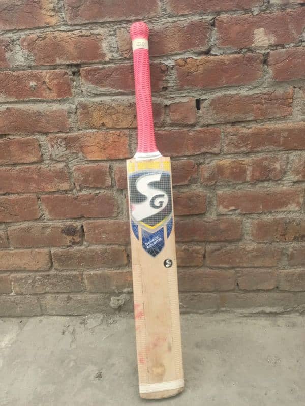 Hard Ball Bat SG 6