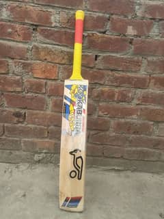 Hard Ball Bat Kookaburra