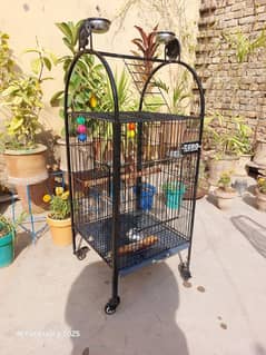 Big Parrot Cage in Excellent Condition