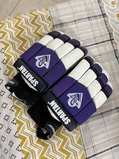 Cricket Batting Gloves