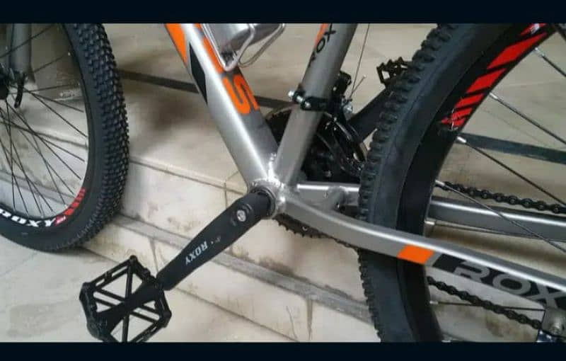 UAE imported mountain bike 8