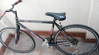 Phonenix Original Racing Bicycle