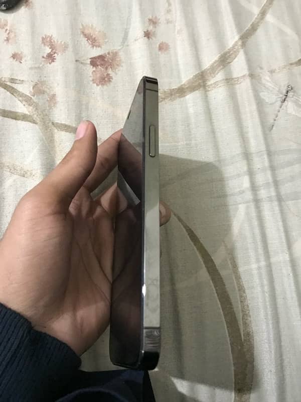 iPhone 12 Pro Non Pta 2