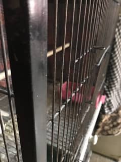 Cage For sale double porstion