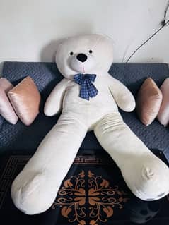 5 foot 5 inch teddy bear for sale