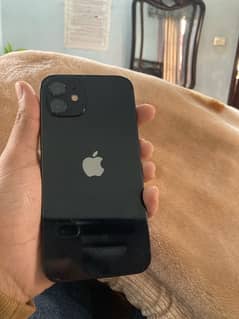 iphone 12 256 gb