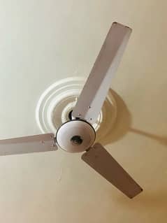 Two Ceiling Fans for sale