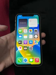 iPhone11