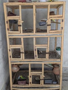 Australian parrots with cage