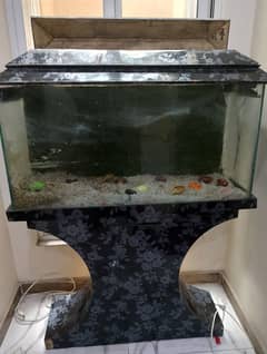 Fish Aquarium