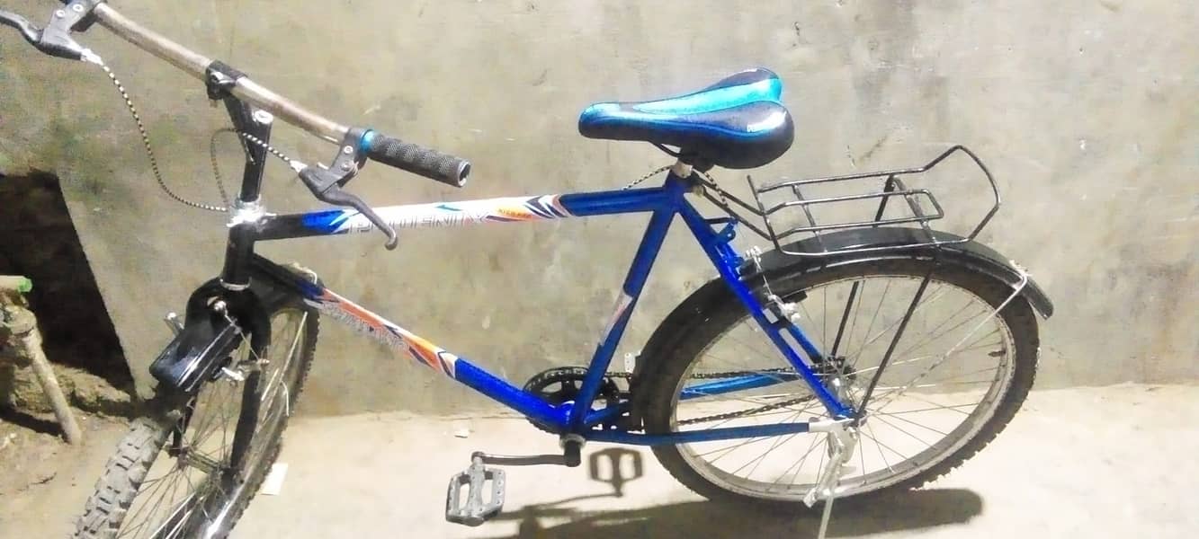 New Bicycle 7